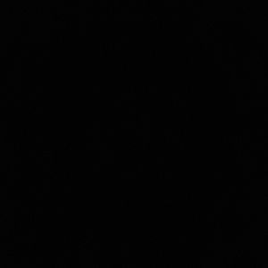 Meet your Posher, Logan